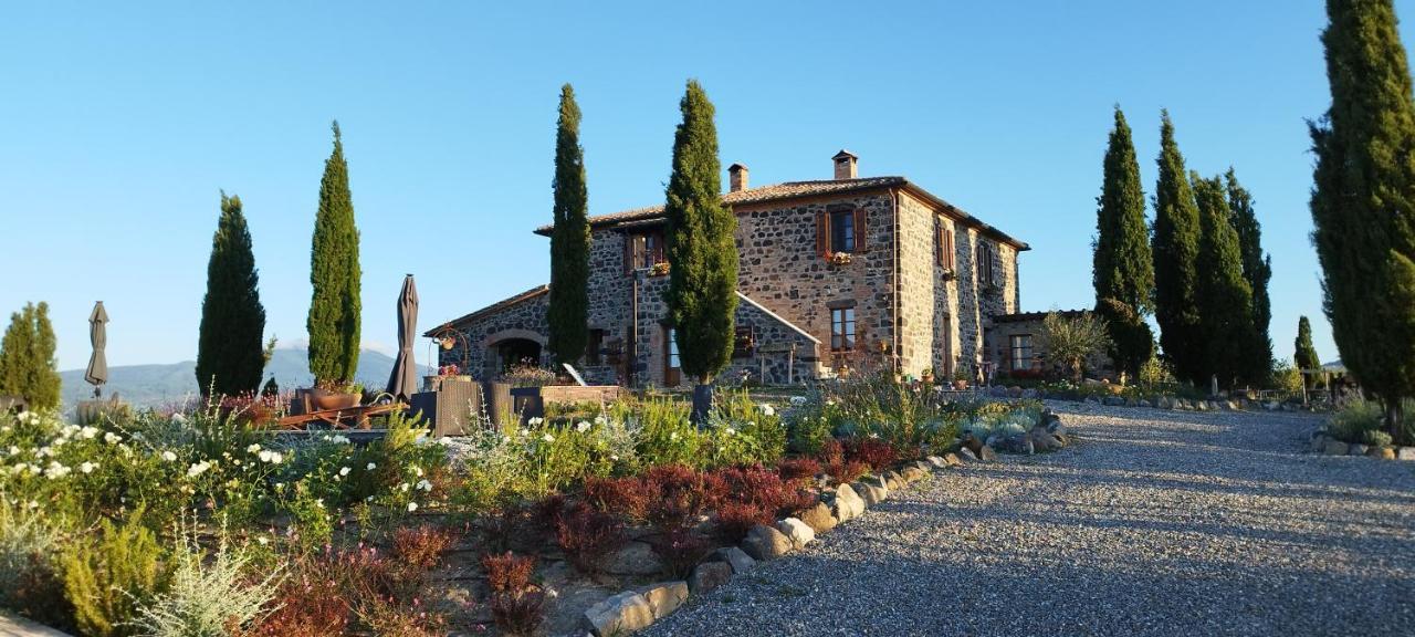 Casa Al Maestro B&B Radicofani Exterior foto